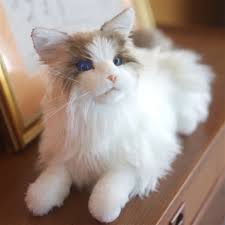 Purry Robot Cat
